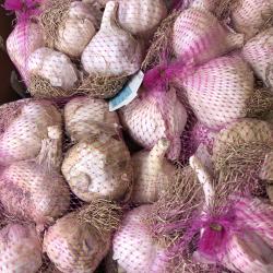 Ail Eden Rose 500G