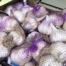 Ail Flavor 500G