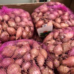 Oignon Rose 500g