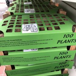Pomme de Terre Ratte Clayette 100plants 