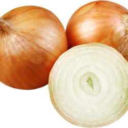 Oignon blanc BQUETTE