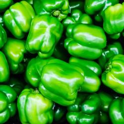 Poivron Marseillais BQUETTE 6 plants