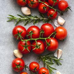 Tomate Gréffée Cerise Pot 0.5L