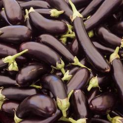 Aubergine Gréffée Longue Pot 0.5L