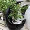 Bonsai Pot Deo Lune C19