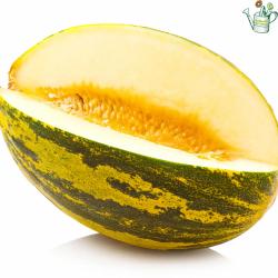 Melon Vert Pot 0.5L