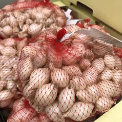 Oignon Blanc 500G