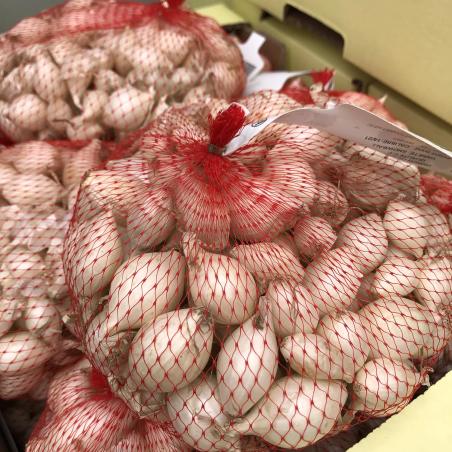 Oignon Blanc 500G
