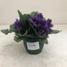 Coupe artificielle Violette 