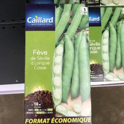 fève de Séville à longue cosse