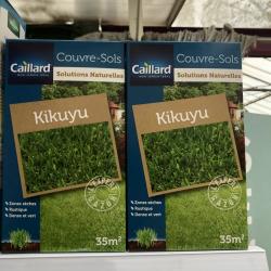 Gazon Kikuyu 250g