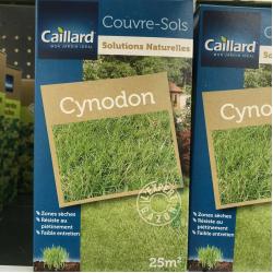 Gazon Cynodon 250g 