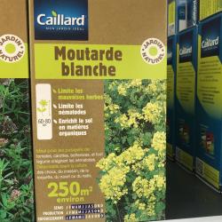 Moutarde blanche 250m²