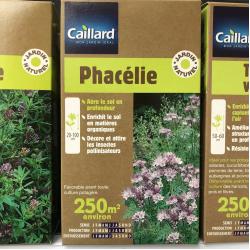 Phacelie 250m²