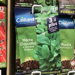 mache à grosse graine