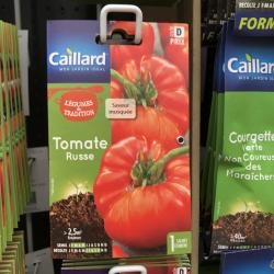 tomate russe 