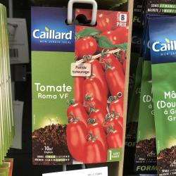 tomate roma vf