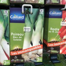 poireau bleu de solaise