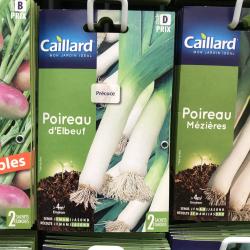 poireau d'elboeuf