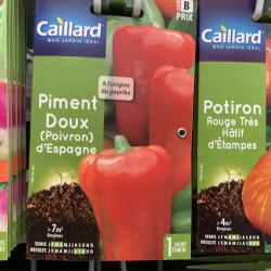 piment doux d'espagne (poivron)