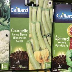 courgette lungo bianco