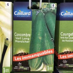concombre vert long maraicher