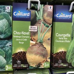 chou-navet rutabaga champion à collet rg