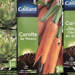 carotte de Meaux