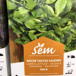 Mache Gala Toute Saisons 