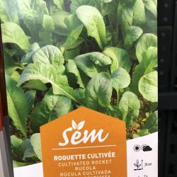 Roquette Cultivee 