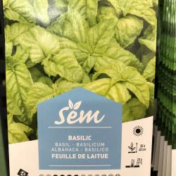 Basilic Feuille de Laitue 
