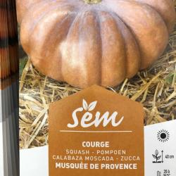 Courge Musquée de Provence 