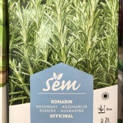 Romarin 