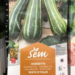 Courgette Verte d'Italie 