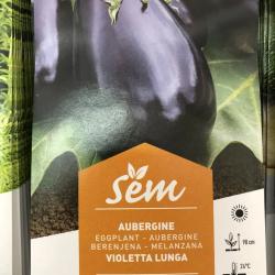 Aubergine Violette Longue 