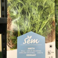 Aneth 