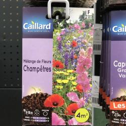 Melange de Fleurs Cahmpetre 