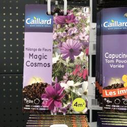 Melange Fleur Magic Cosmos 