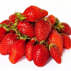 Fraisier Ciflorette Barquette 6 plants 