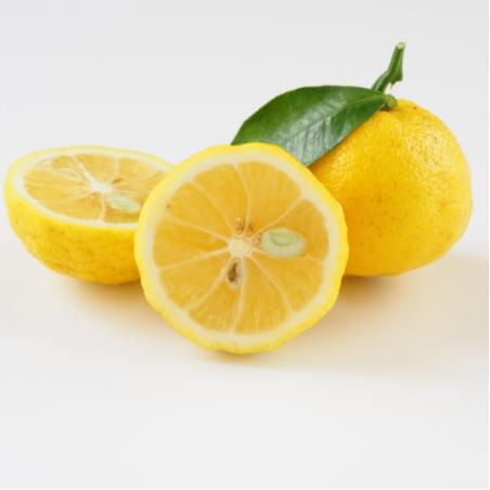 Citronnier Yuzu 5L 