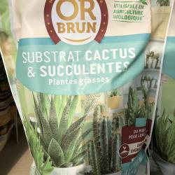 Terreau Cactées 4L