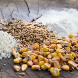 Melange Poule Pondeuse 5KG