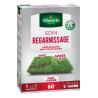 Gazon Regarnissage 1Kg 
