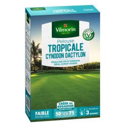 Gazon Tropical Cynodon 500g
