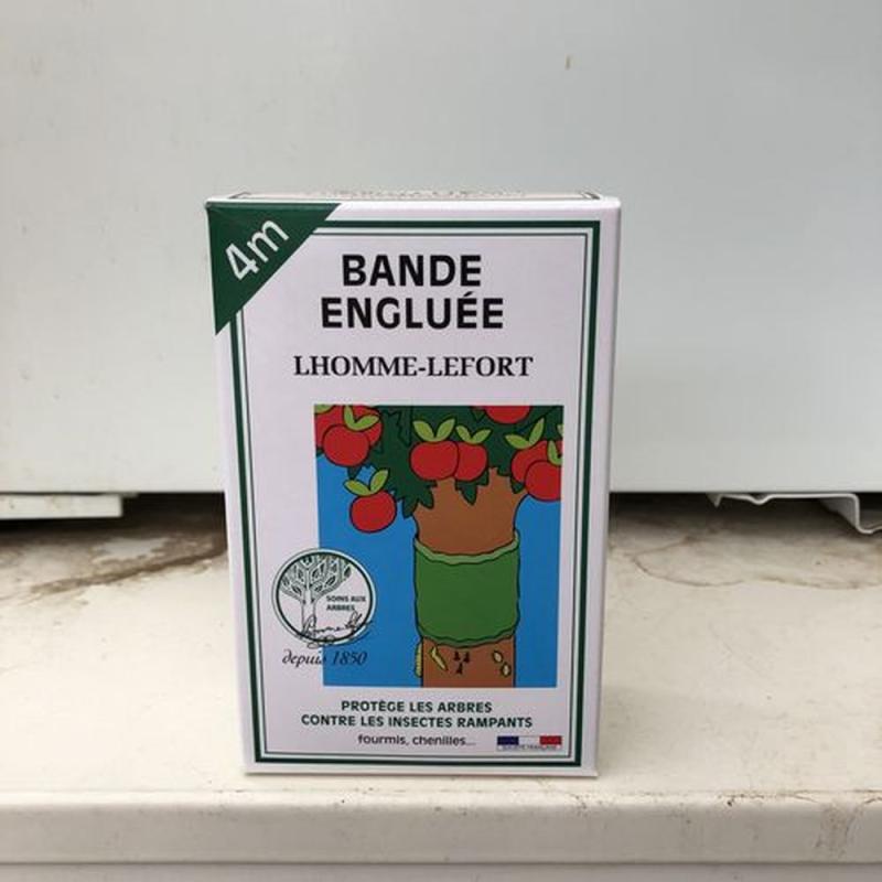 Bande engluée 4m