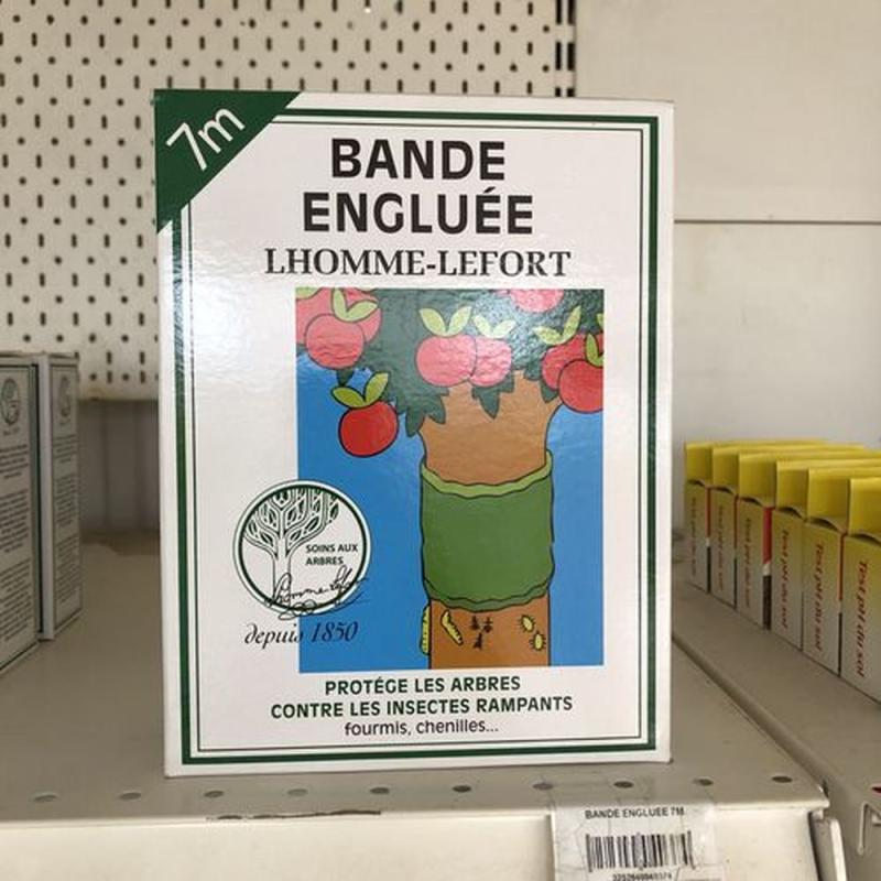 Bande engluée 7m