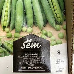 Pois Petit Provencale 