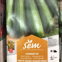 Courgette Verte Noire Maraichere 