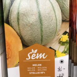 Melon Stellio 