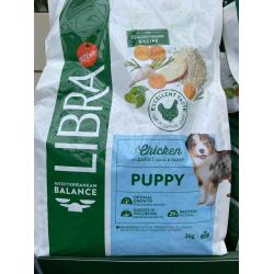 Libra chien puppy 3kg